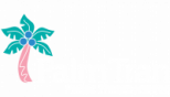 palmtran logo